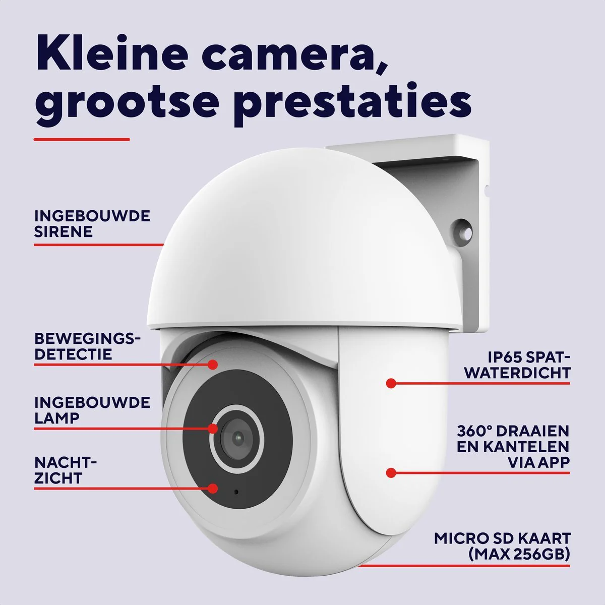 Productafbeelding 8